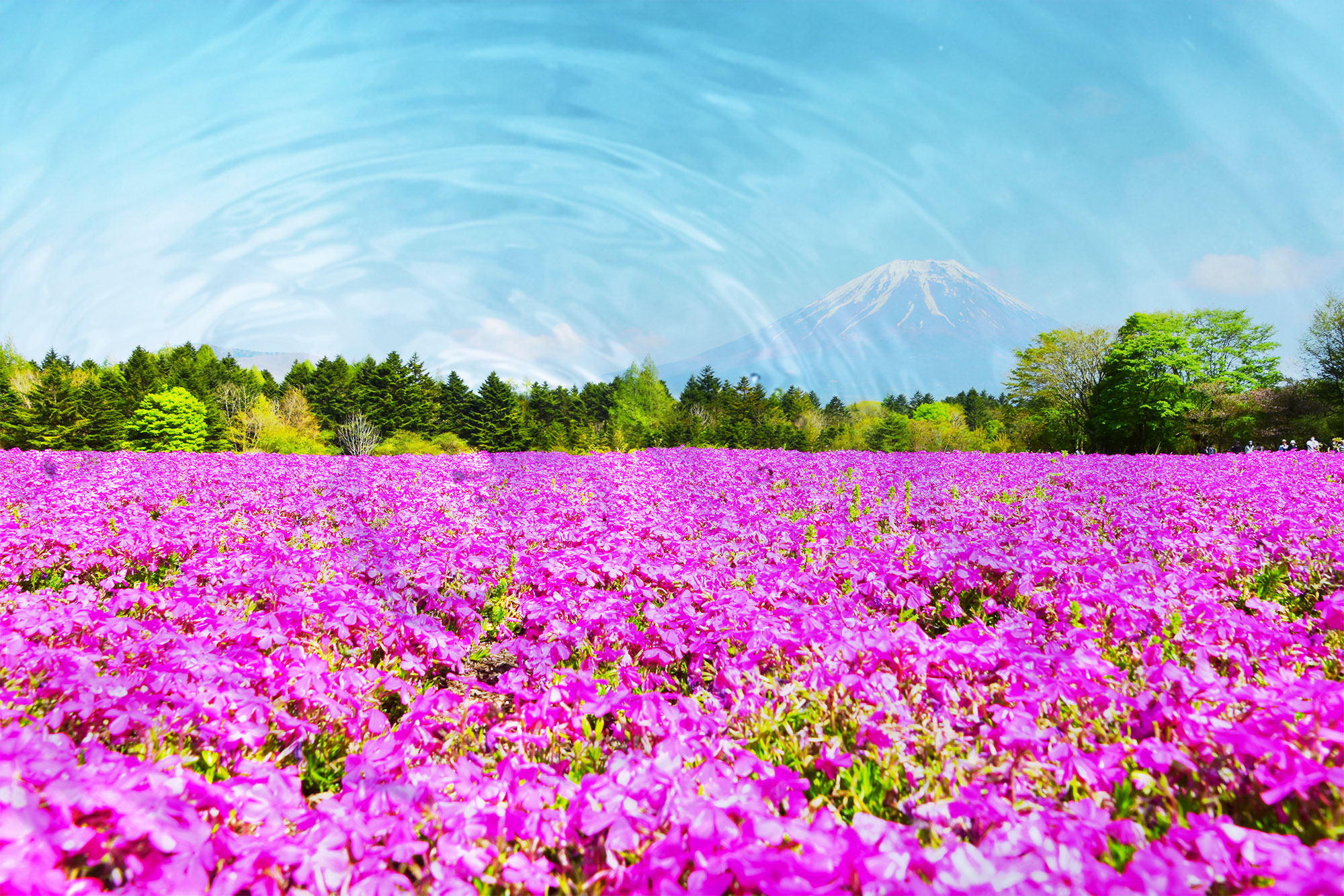 山梨県から見る富士山
